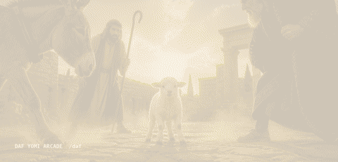 Animated: a lamb in a dusty standoff with a donkey, a shepherd and a scholar. Whose lamb is it?